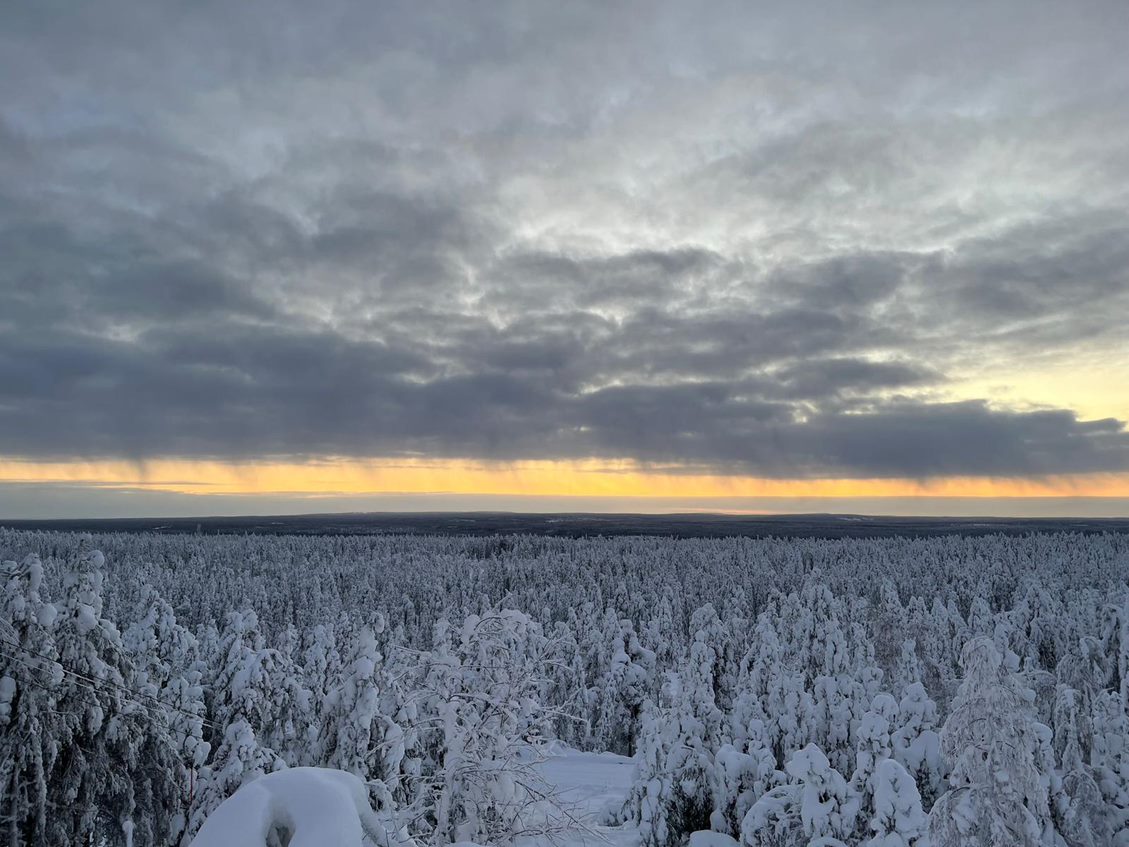 Landscape image with the Finnish forest in Lapland during winter